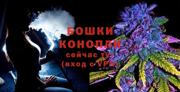 шишки Нефтекумск