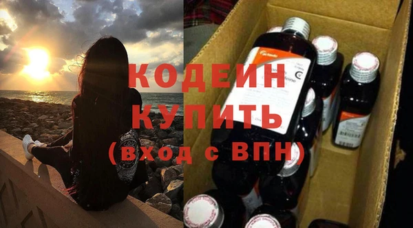 ГАЛЛЮЦИНОГЕННЫЕ ГРИБЫ Верея