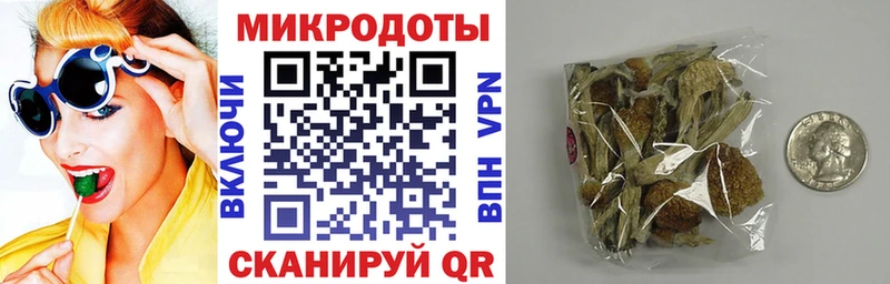 Псилоцибиновые грибы Psilocybe где купить Мичуринск