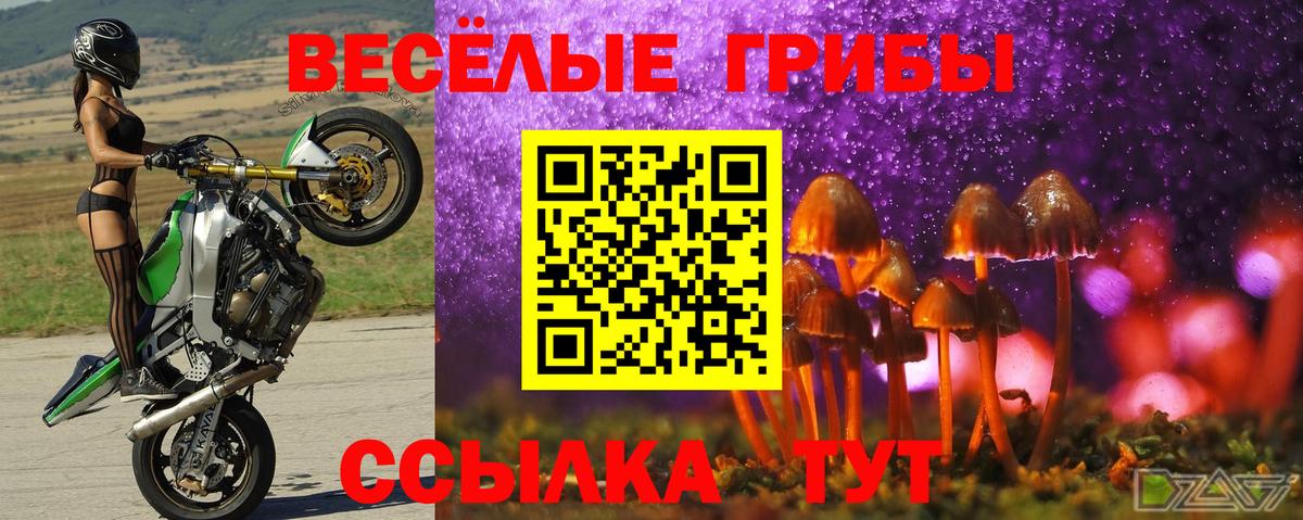 Мичуринск  Галлюциногенные грибы GOLDEN TEACHER  купить наркоту  Галлюциногенные грибы прущие грибы  Вход с VPN 