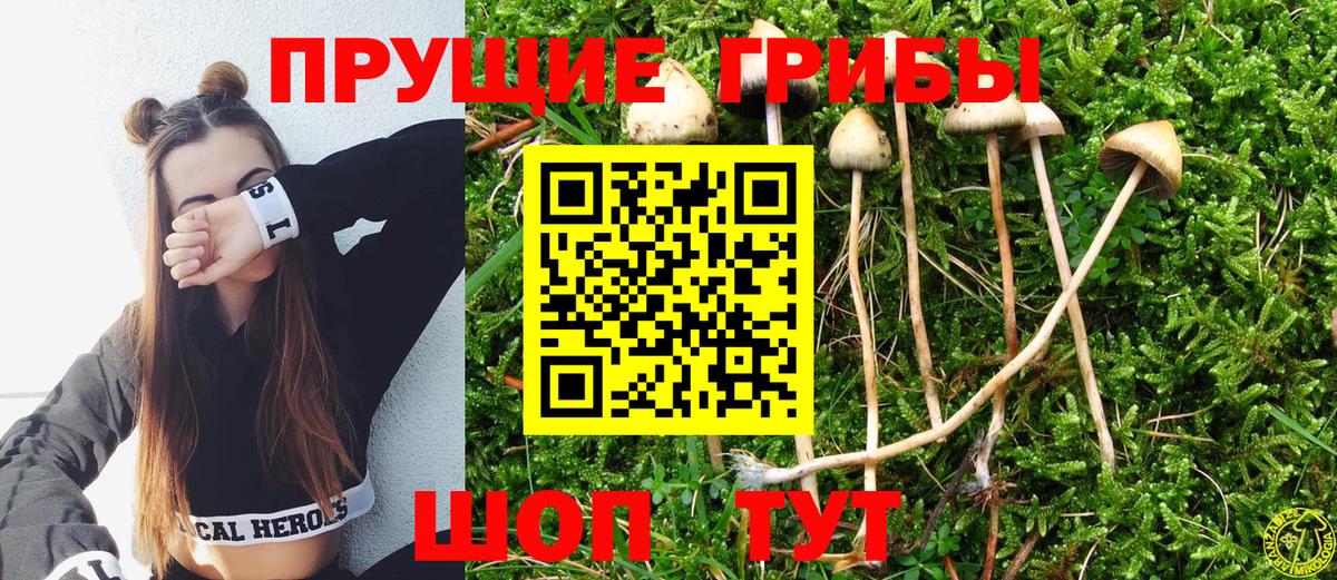 Псилоцибиновые грибы Magic Shrooms  Мичуринск 