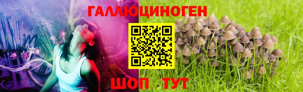 Галлюциногенные грибы прущие грибы Мичуринск